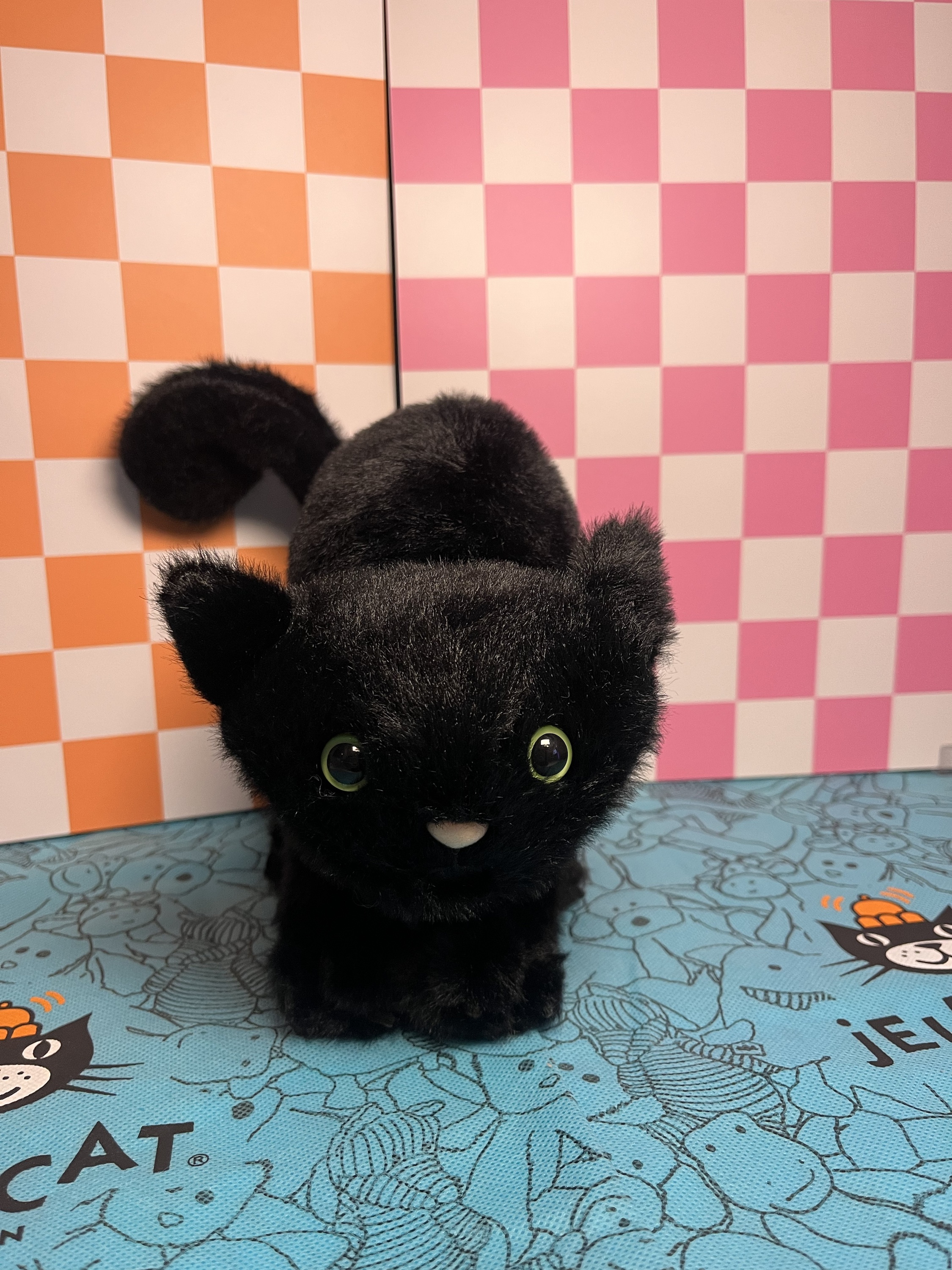 Spookipaws Cat - The Jellyspot